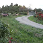 Collosodo Alojamento de Turismo Rural *